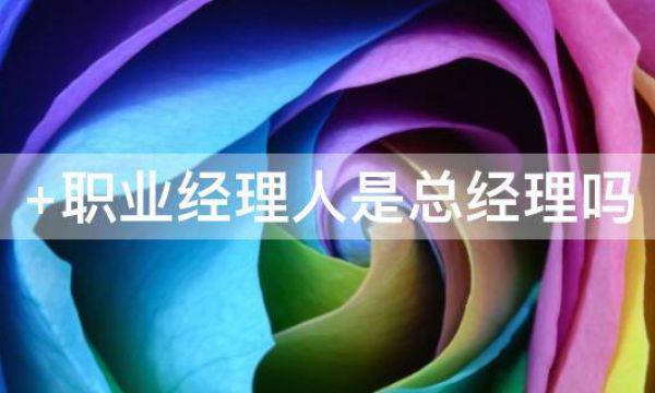 职业经理人是总经理吗？
